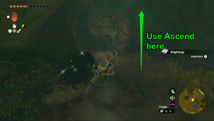 TotK Use Ascend to Enter the Shed