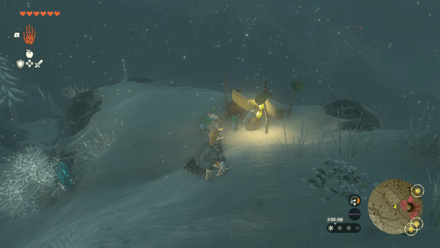 TotK - Korok Seed x2