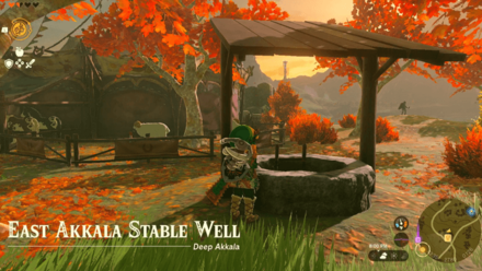 East Akkala Stable Well Entrance Overworld Image