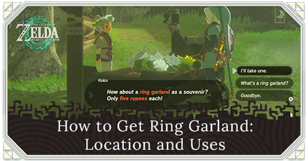 Zelda TOTK - How to Get Ring Garland Location and Uses