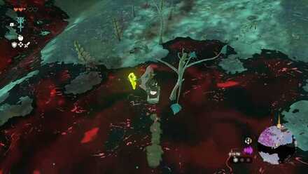 Zelda TotK - Shield Surf Gloom