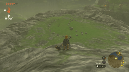 TotK - Korok Seed