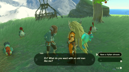 Zelda Tears of the Kingdom TotK Talk to Tokk
