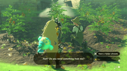 Zelda Tears of the Kingdom TotK Talk to Medda