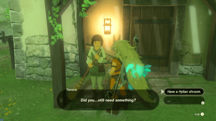 Zelda Tears of the Kingdom TotK Talk to Tamana