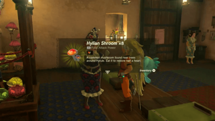 Zelda Tears of the Kingdom TotK Giving out Mushrooms