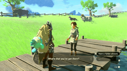 Zelda Tears of the Kingdom TotK Talk to Koyin