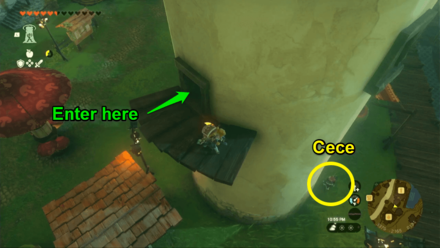 TotK Enter the Tower.png