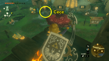TotK Waiting for Cece.png