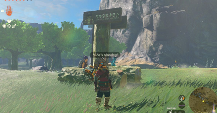 TotK - Addison Hudson Sign Solution