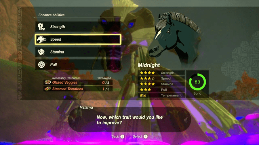 Zelda TOTK Horse Upgrade Requirements