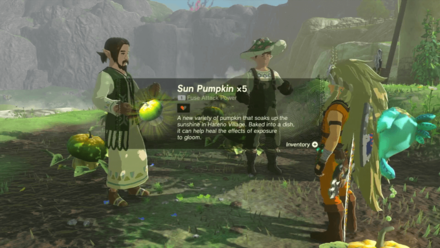 Zelda Tears of the Kingdom TotK Getting Sun Pumpkins