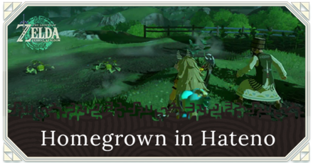 Zelda Tears of the Kingdom TotK Homegrown in Hateno Walkthrough and How to Unlock