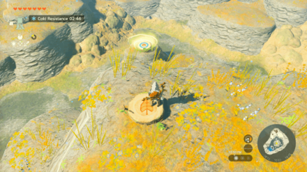 TotK - Korok Seed