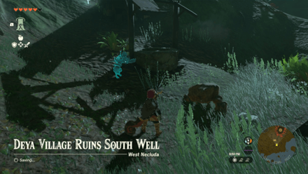 Deya Village Ruins South Well Entrance Overworld Image