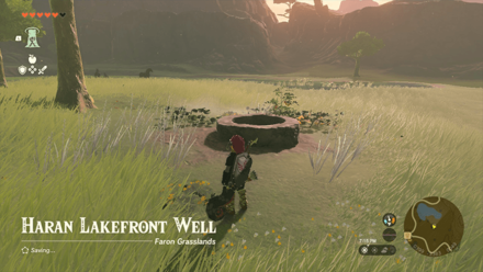 Haran Lakefront Well Entrance Overworld Image