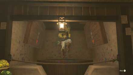 Zelda TotK - Dye Tub