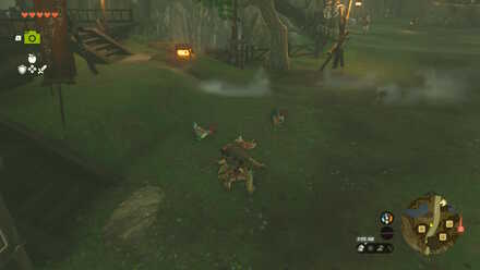 Zelda Tears of the Kingdom TotK - cuccos outside the General Store