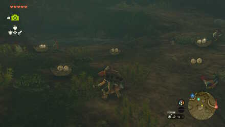 Zelda Tears of the Kingdom TotK - Bird Eggs in the Cucco Hideaway