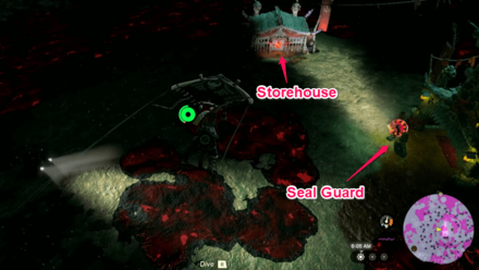 Tears of the Kingdom - Vertical Escape Overworld Location