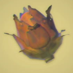 Legend of Zelda TOTK Roasted Voltfruit