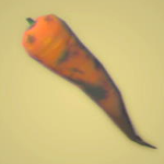 Legend of Zelda TOTK Roasted Swift Carrot