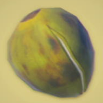 Legend of Zelda TOTK Baked Palm Fruit