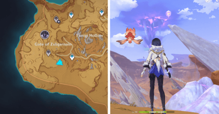 Genshin - Plume of Purifying Light 15