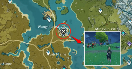 Genshin - Stonehide Encounter Location