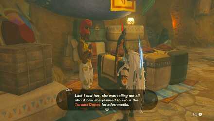 Zelda Tears of the Kingdom TotK The Missing Owner How to Unlock.jpg