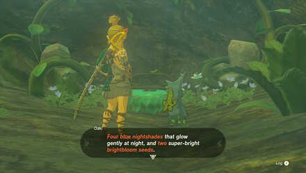 TotK - Talking to Okai