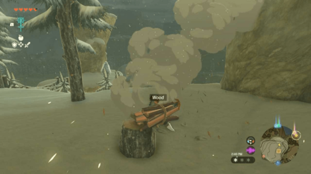 Zelda TotK - Chop Down Logs