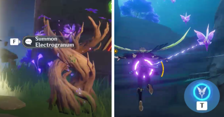 Genshin - Scenic Tour Grand Narukami Shrine - Electrogranum and Thunder Spheres