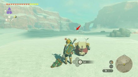 TotK - Korok Seed x2