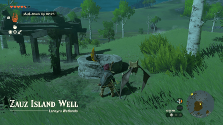 Zauz Island Well Entrance Overworld Image