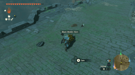 Zelda Tears of the Kingdom TOTK - Bring Peace to Akkala Monster Parts