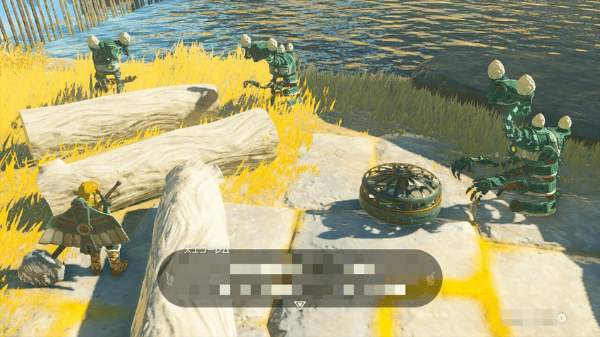 Zelda TOTK - Steward Constructs