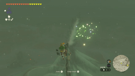 TotK - Korok Seed