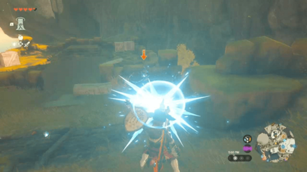 Zelda Tears of the Kingdom TotK - Perfect Guard Ranged Parry.png