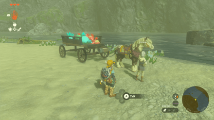 Zelda TotK - Juney Overworld Location