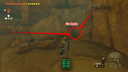 TOTK - Wetland Stable Korok Seed