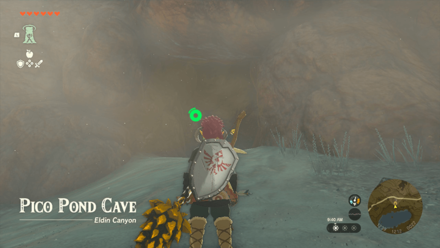 Tears of the Kingdom TOTK - Pico Pond Cave