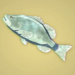 Legend of Zelda TOTK Frozen Bass