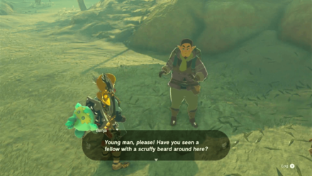 Tears of the Kingdom TOTK Lost in the Dunes How to Unlock