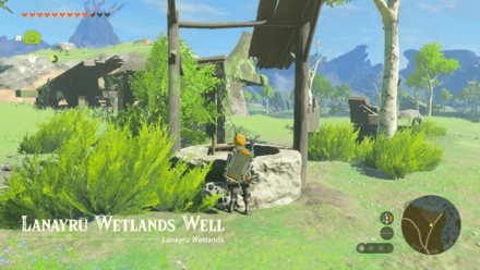 Lanayru Wetlands Well Entrance Overworld Image