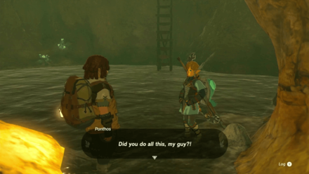 Zelda Tears of the Kingdom TotK Talking to Ponthos