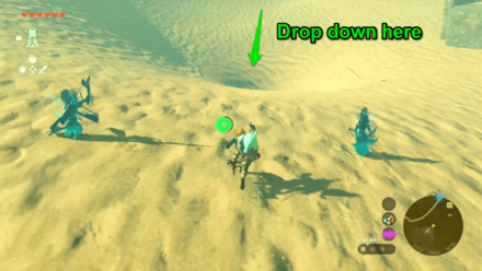 Zelda Tears of the Kingdom TotK Enter the Oasis Source