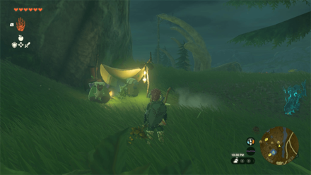 TotK - Korok Seed x2