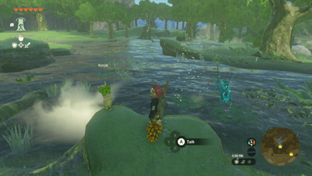 TotK - Korok Seed