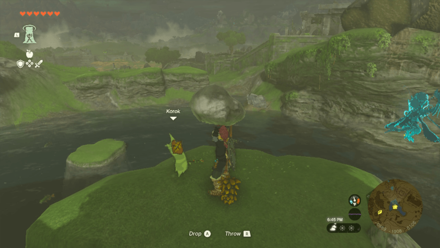 TotK - Korok Seed